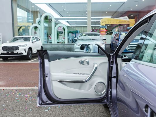 Version longue portée 2024 500 km Intérieur Luxe conduite lisse Ora Good Cat Mini Ev Voiture électrique