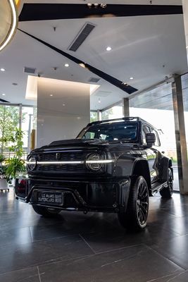 Découvrez une puissance et des performances inégalées avec le TANK 300, le véhicule tout-terrain ultime