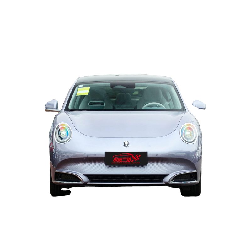 Version longue portée 2024 500 km Intérieur Luxe conduite lisse Ora Good Cat Mini Ev Voiture électrique